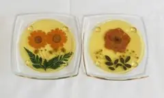 昭和レトロ　レトロ雑貨　茶托 コースター 押し花 プラスチック　2点　当時物