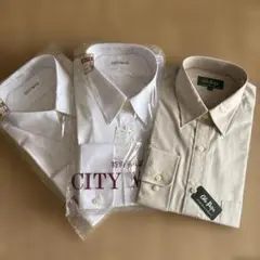 Item thumbnail for item eda5757a-02b8-43d0-87b5-132128de4aa8