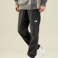 マウンテンバーサマイクロパンツTHE NORTH FACE