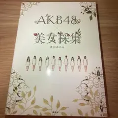 AKB48 美女撮集 清川あさみ