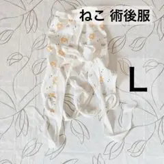 Item thumbnail for item 1913c987-db4a-4703-bdb0-3e4f008cac10