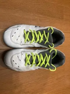 パワークッション65Z