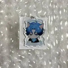 新名有 アクキー