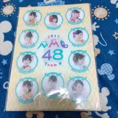 NMB48　クリアファイル　2017 新品未使用品　激レアグッズ　1枚　セール中