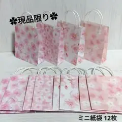 Item thumbnail for item 1a18077b-b5dd-482c-8dcc-e52956125c94