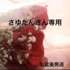さゆたんそん専用