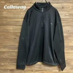Item thumbnail for item 9554ee11-6c7c-4844-80f9-c2570c9a4b89