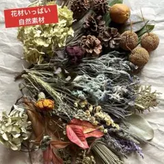 [サービス品]花材いっぱい 木の実 ドライフラワー リーフ リース ハンドメイド