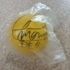 有安杏果 サインボール