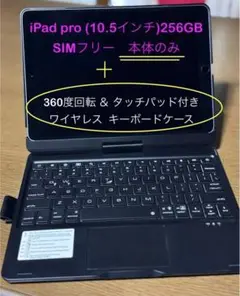 iPad Pro (10.5インチ) 256GB SIMフリー
