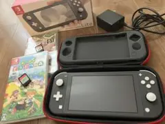 Nintendo Switch NINTENDO SWITCH LITE グレー