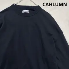 CAHLUMN カウラム ロングスリーブ カットソー Lサイズ
