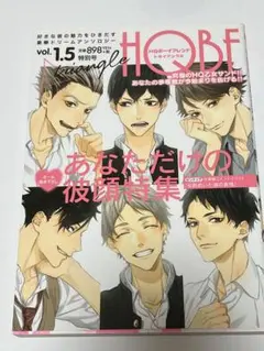 HQカレシ　HQBF　ハイキュー ボーイフレンド　44冊セット アンソロジー HQボーイフレンド Roomshare (F-Book Selection) | areno, じっ
