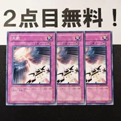11618 遊戯王 天罰 ノーマル 2点目無料 YSD3