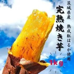1kg 焼き芋 紅はるか 茨城県産 熟成 ねっとり甘い 訳あり