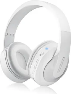 Item thumbnail for item e4859db8-c302-4e6a-b0cd-538e862e0b89