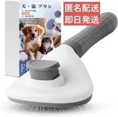 Item thumbnail for item 7a09affc-0ccf-489a-85db-bd0106d03027