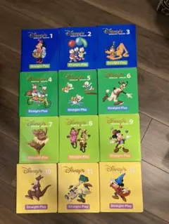 値下げ!美品⭐︎DWE ストレートプレイ DVD