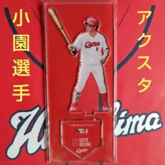 カープアクリルスタンド小園海斗選手2025C！新デザイン♪