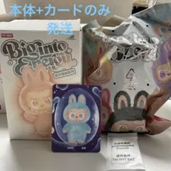 【正規品】ラブブPOPMART Big Into Energy HOPE ホープ