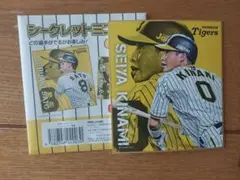 阪神タイガース 木浪聖也 シークレットミニ色紙