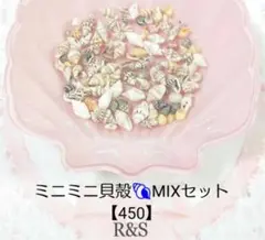 【450】ミニミニ貝殻♥MIXセット 約50個