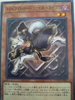 トワイライトロード・ファイター・ライコウ