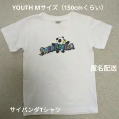 サイパンで購入 サイパンダＴシャツ 約150cm YOUTH Mサイズ 匿名配送