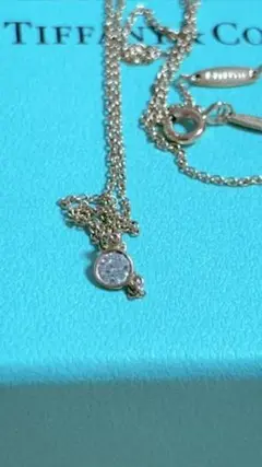 Tiffany ティファニー バイザヤードネックレス