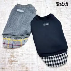 Item thumbnail for item 1e138b5f-ba19-40dd-bc72-b24c6d78bba2