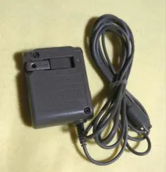 ニンテンドー純正 DS lite ライト 充電器 ACアダプター USG-002