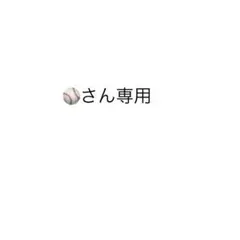 ⚾️さん専用