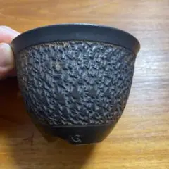 ボタナイズ GOUJIN コラボ 陶器鉢 未使用品 値下げ