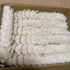 Item thumbnail for item 38e47d8b-7c22-4236-97e4-9e673475d4ea