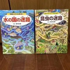 水の国の迷路と昆虫の迷路セット
