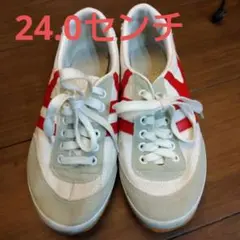 お値下げ　24.0　ホワイト/レッド　体育館シューズ