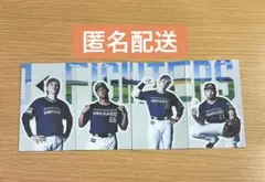 we loveHokkaido ファイターズ ステッカー
