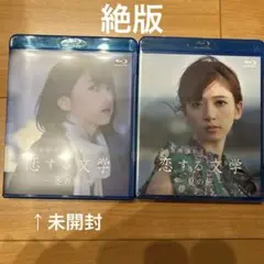 乃木坂46 橋本奈々未 【恋する文学】セット品 1つ未開封品 乃木坂46 橋本奈々未 【恋する文学】セット品 1つ未開封品