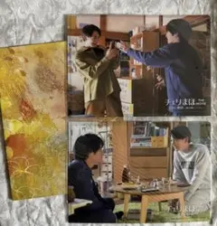 赤楚衛二　町田啓太　チェリまほ　映画パンフ　クリアファイル2枚