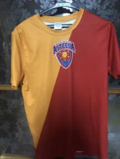 卓球 Tリーグ琉球アスティーダ練習Tシャツ