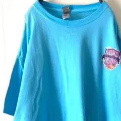 ギルダン ナイツキャッスル Tシャツ ライトブルー 水色 XL 古着