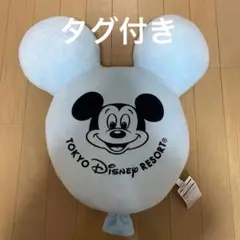 Item thumbnail for item 25e35a26-f646-4911-8179-5214fde81f60