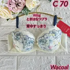 Item thumbnail for item 7e0d117e-2576-4940-b5eb-edc61ca916e3