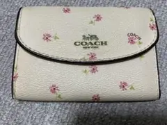 Item thumbnail for item 848f265d-b567-4e73-8c92-4d27583f52e6