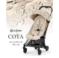 Item thumbnail for item e05c5bcc-179e-49ce-bebf-efca959d2eb6
