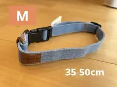 Item thumbnail for item bd81ae8d-580e-43a4-9185-f330d9001cb0