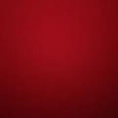 なの様専用