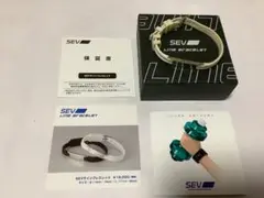 Item thumbnail for item 0f0a1181-d27d-4cd1-971a-f425d797defe