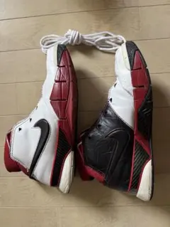 Nike Zoom Kobe 1 Protro All-Star