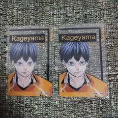 ハイキュー　ファンパーク　箔押しクリアカード　影山飛雄
